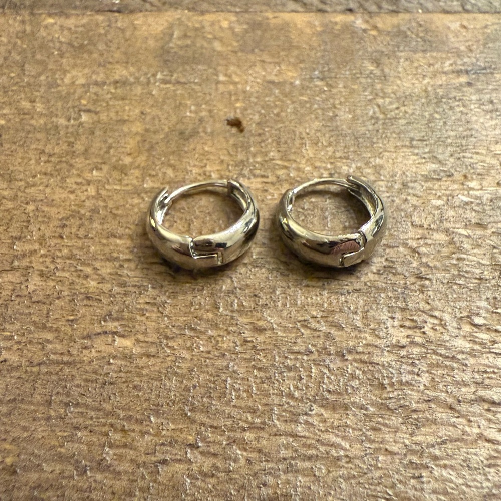 Small silver plated stainless steel hoop earrings